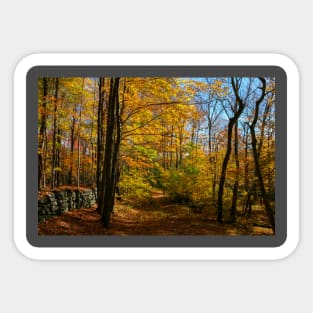 Fall In Connecticut Sticker